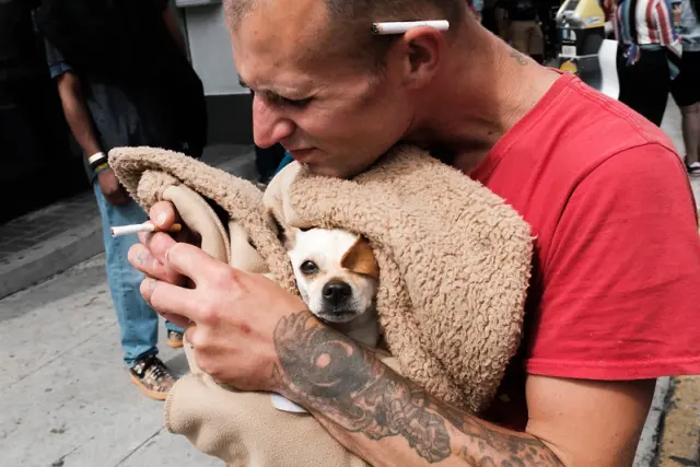 Le fumée de troisième main est le type de fumée le plus dangereux pour les animaux de compagnie.