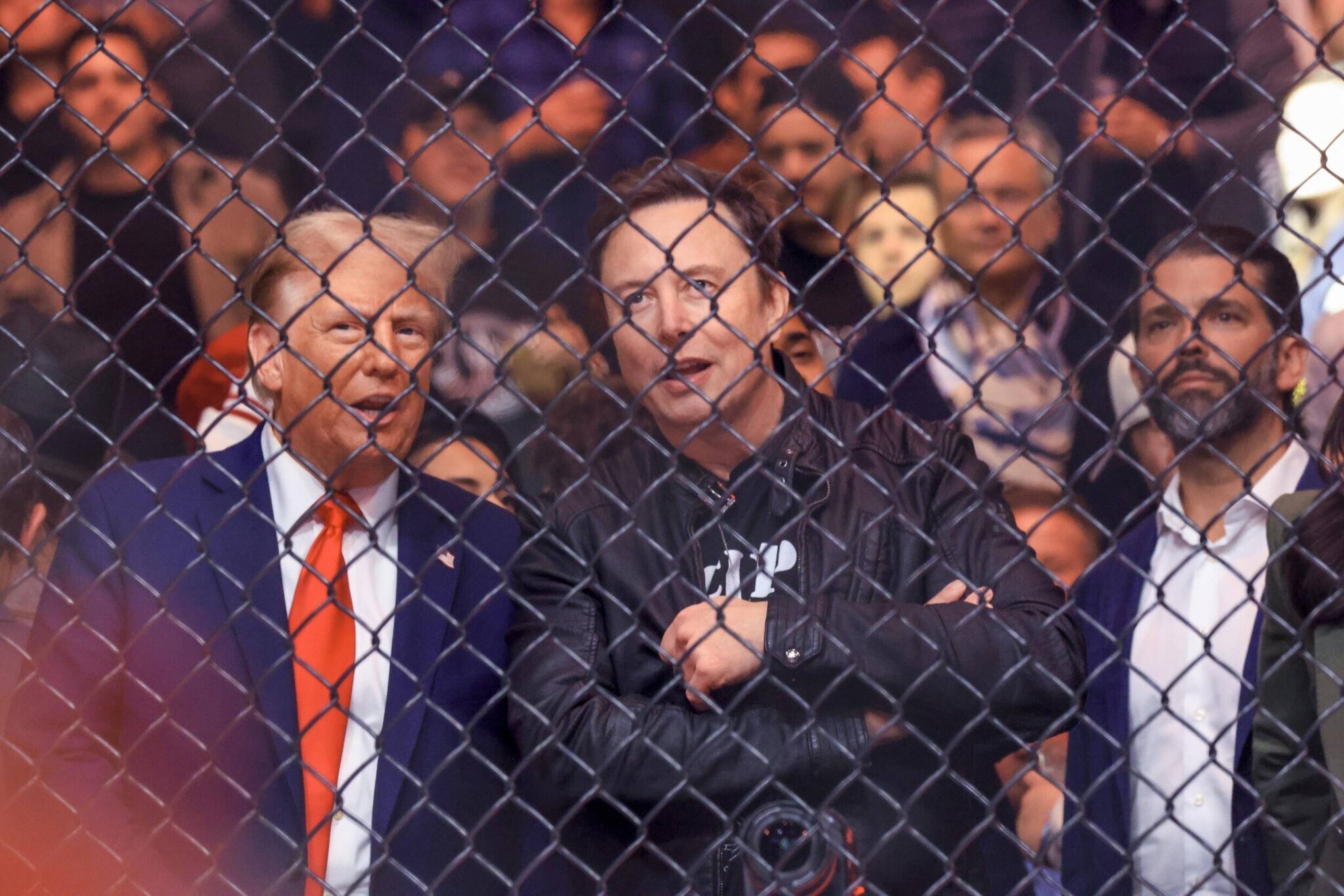 Donald Trump et Elon Musk assistent à un combat de MMA au Madison Square Garden de New York, le 16 novembre 2024.