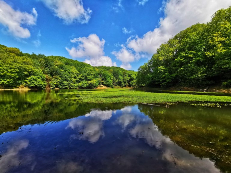 Forêt de Belgrad près d'Istanbul