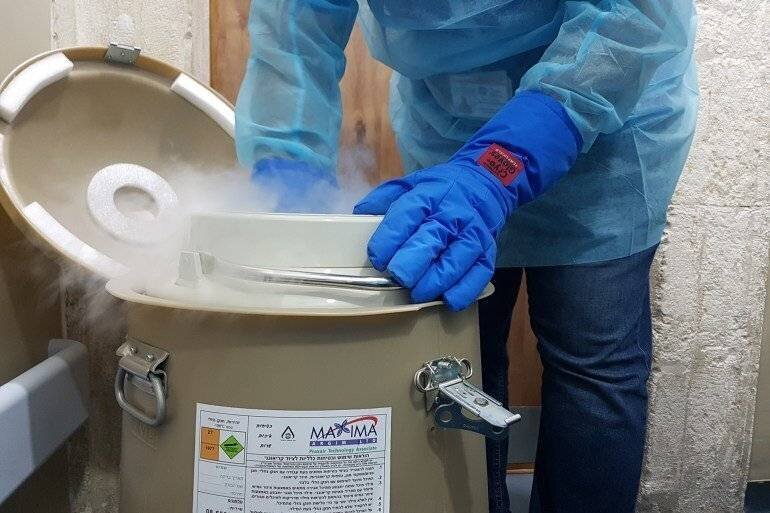 Extraction des cellules souches