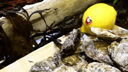 Ostréiculteurs : les huîtres du bassin d'Arcachon à nouveau à la fête