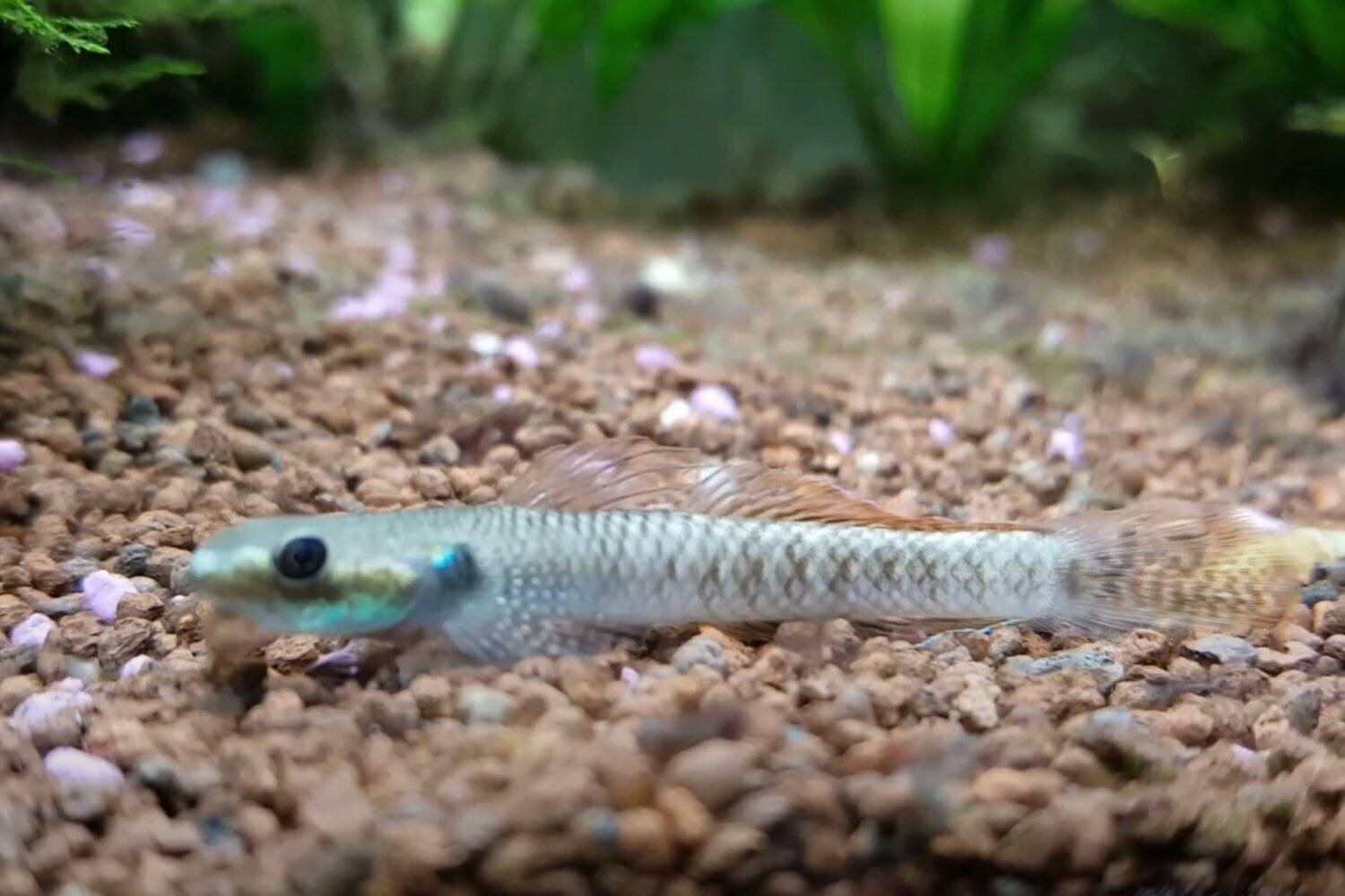 Découvertes sous-marines en 2024