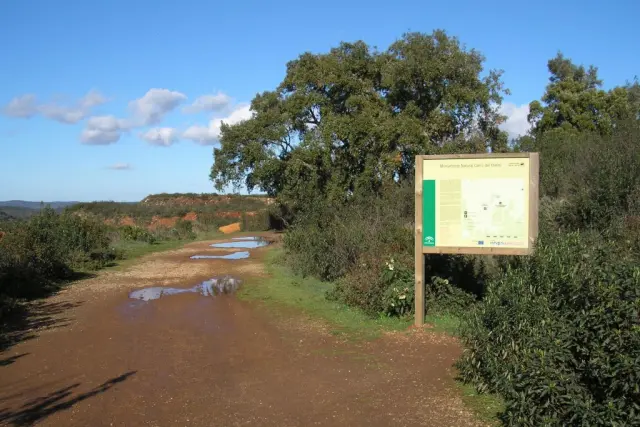 Cerro del Hierro en Sevilla