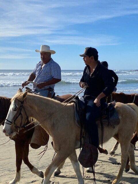 Nature de Todos Santos
