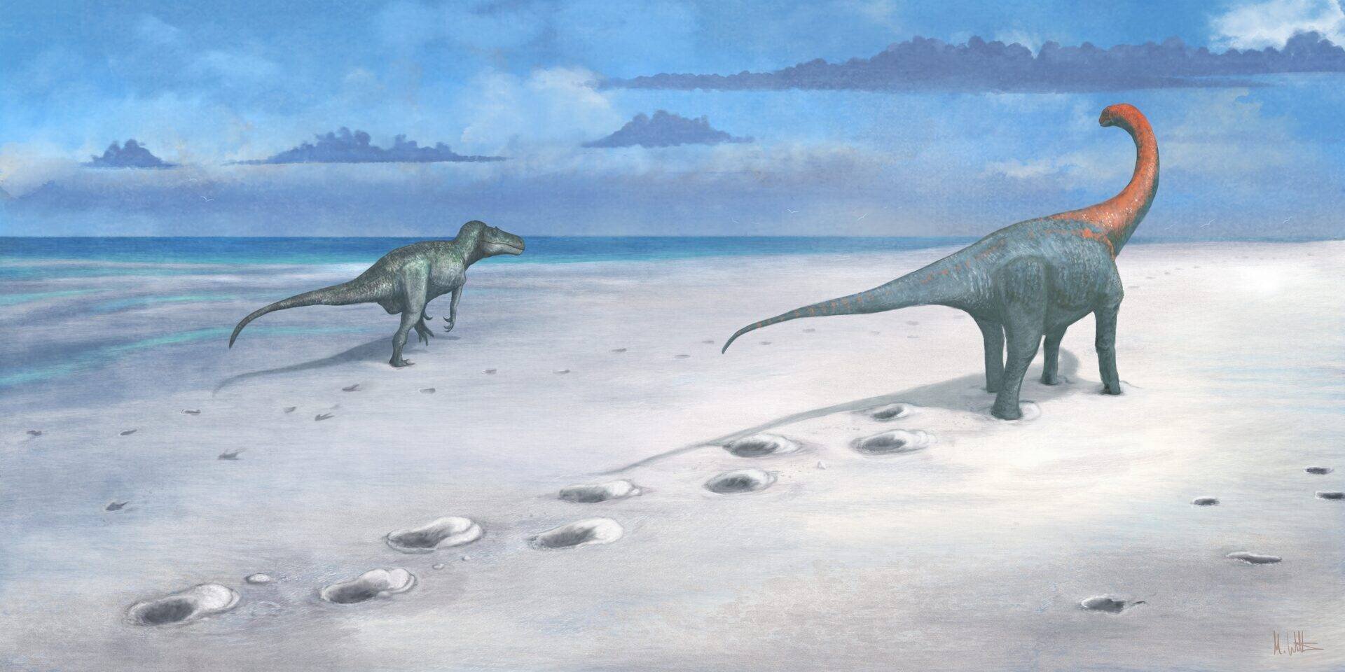 Reconstruction artistique des empreintes de Megalosaurus et Cetiosaurus. (Mark Witton/PA)