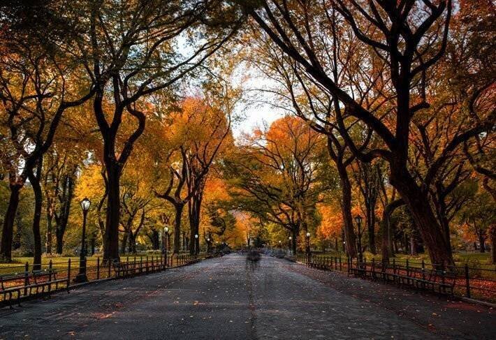 Un après-midi d'octobre dans Central Park à New York. Image – Getty: Edichen Photo