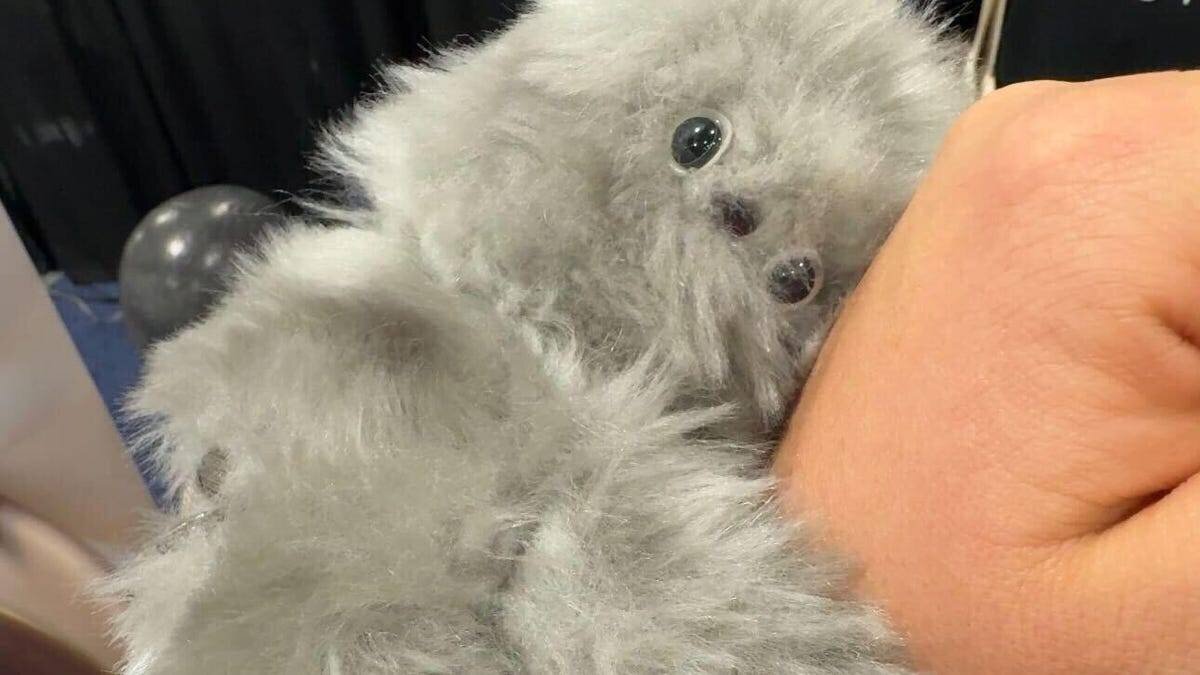 Mirumi, le robot paresseux