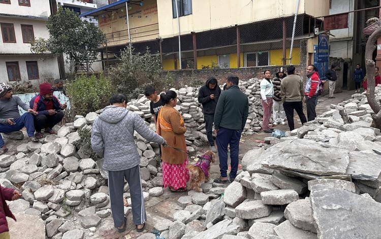 Terremoto in Tibet - (Fotogramma)