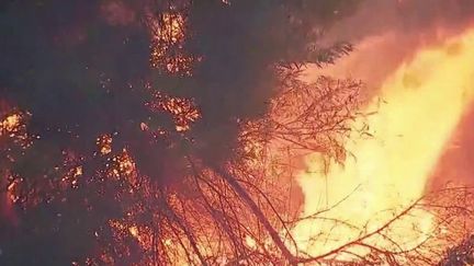 Incendies en Californie : comment expliquer cette catastrophe ?