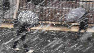 Prévisions de Neige en France selon Météo France