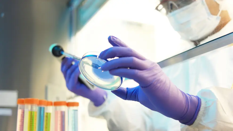 Des cellules dans le corps capable de 'se souvenir'.