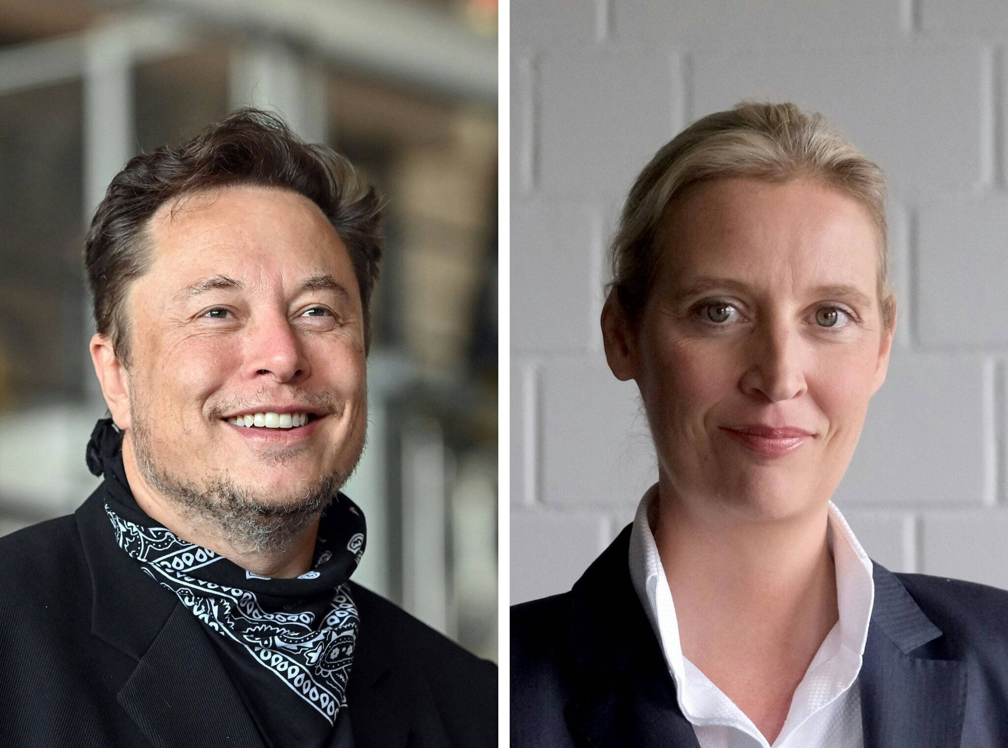 Elon Musk et Alice Weidel