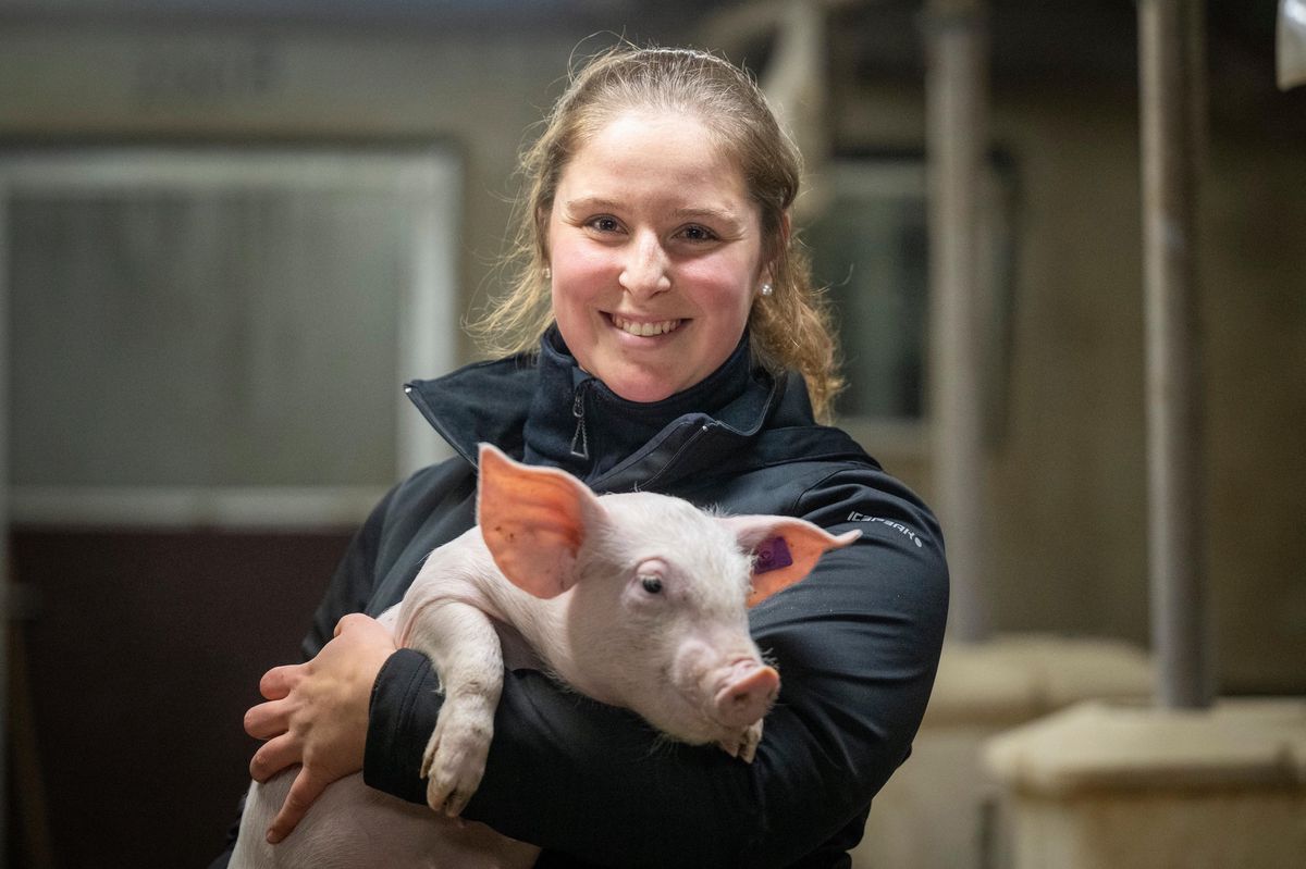 Katja Weber tient un porcelet sur la ferme de ses parents à Grasswil.