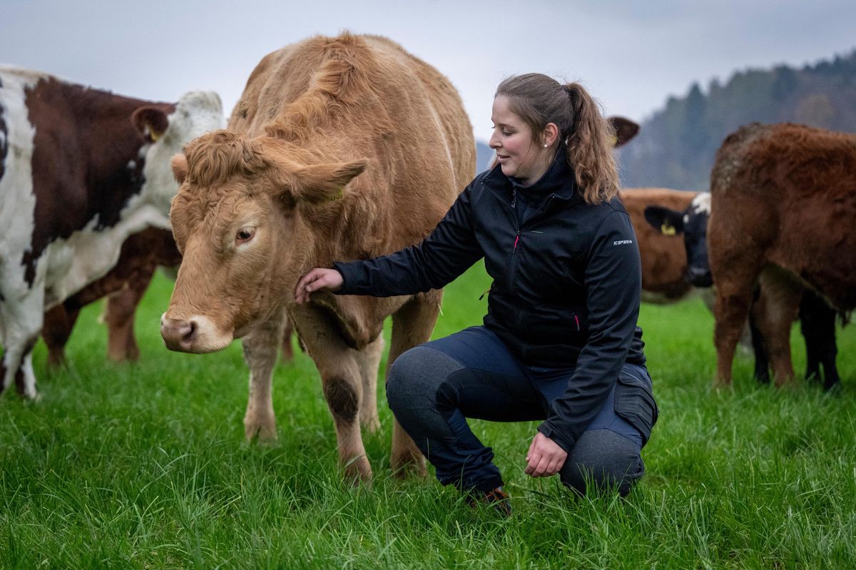 Katja Weber, future agricultrice, caresse une vache sur une prairie à Grasswil.