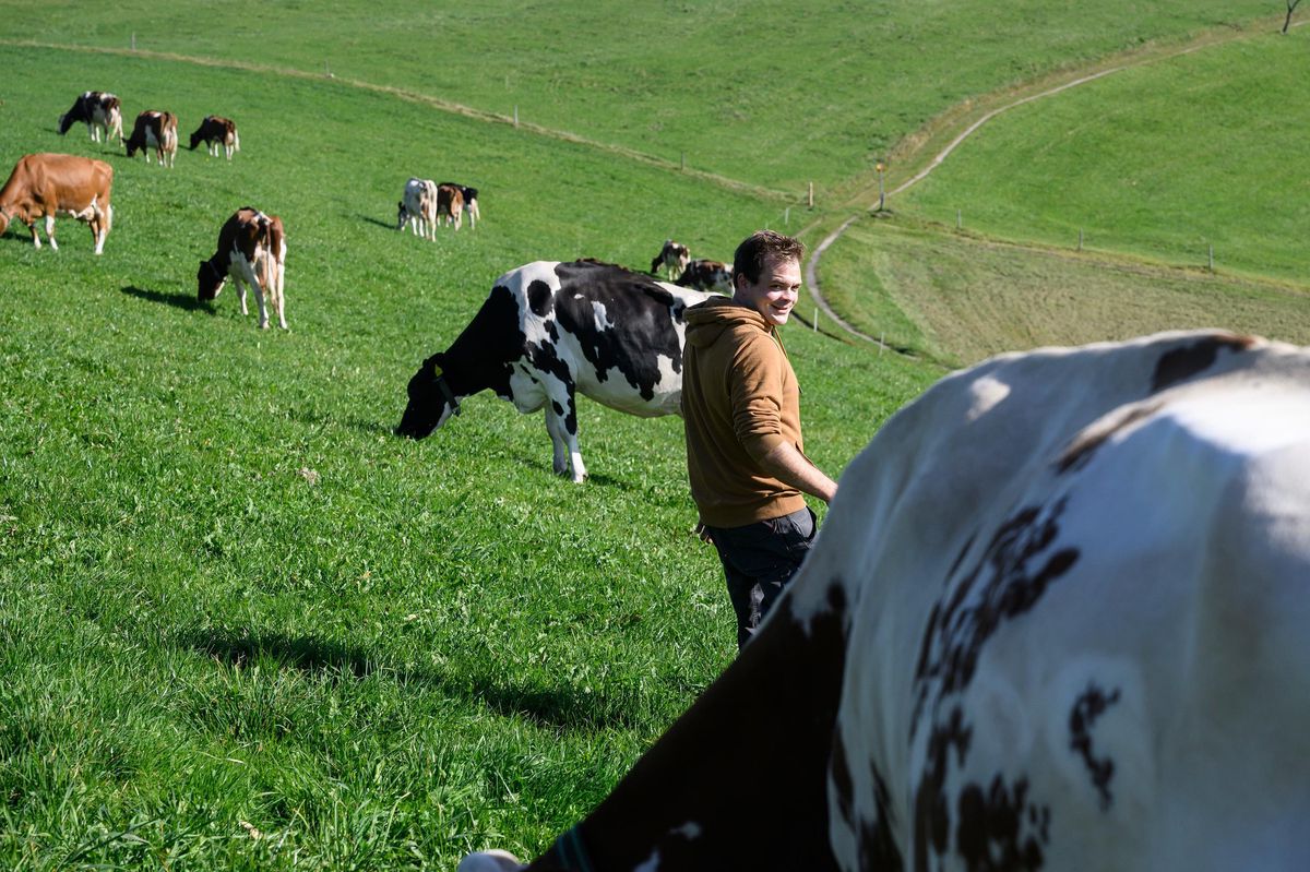 Benjamin Ramseier sur une prairie verte avec des vaches à Süderen, Röthenbach dans l'Emmental.
