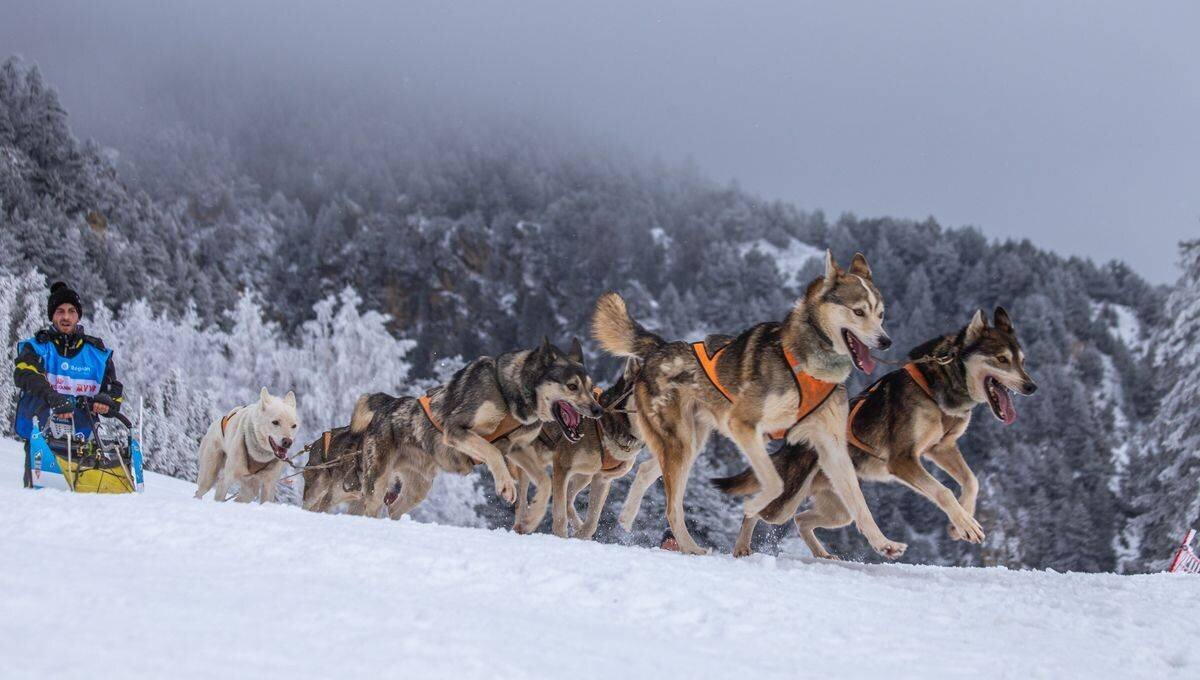 La Grande Odyssée VVF