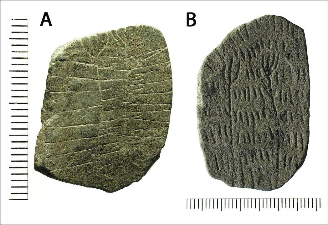 Deux pierres avec motifs de champs et de plantes