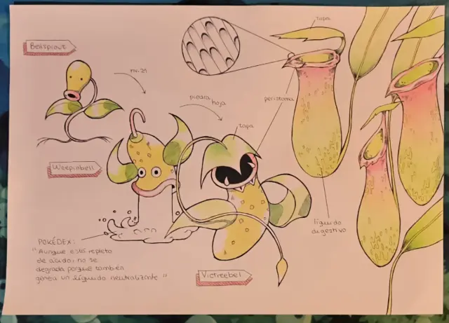 Illustration de Victrebell et son anatomie.