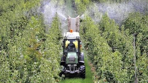 Pesticides dans les fruits et légumes