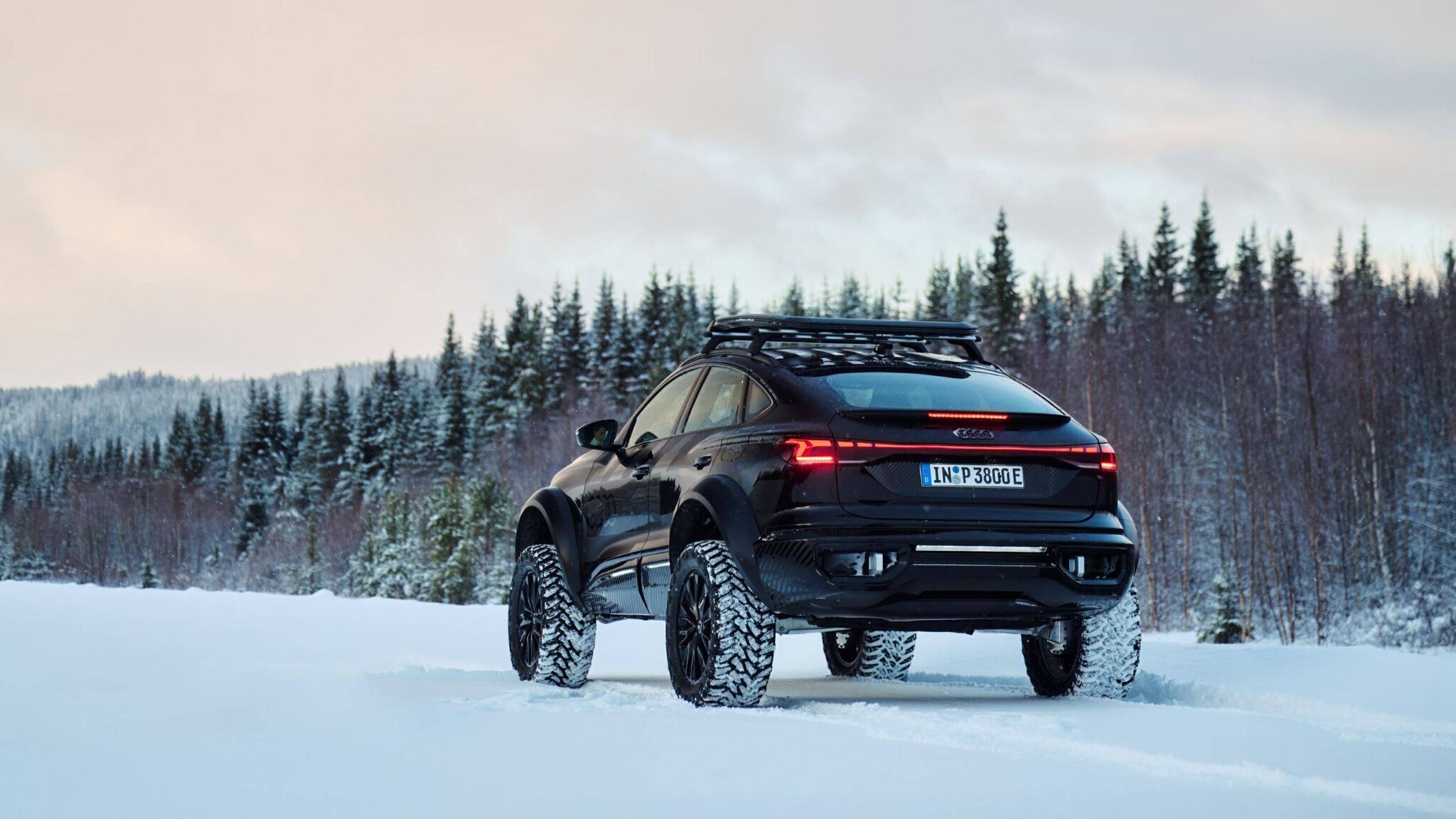 Détails de la suspension du Q6 E-Tron Off-Road