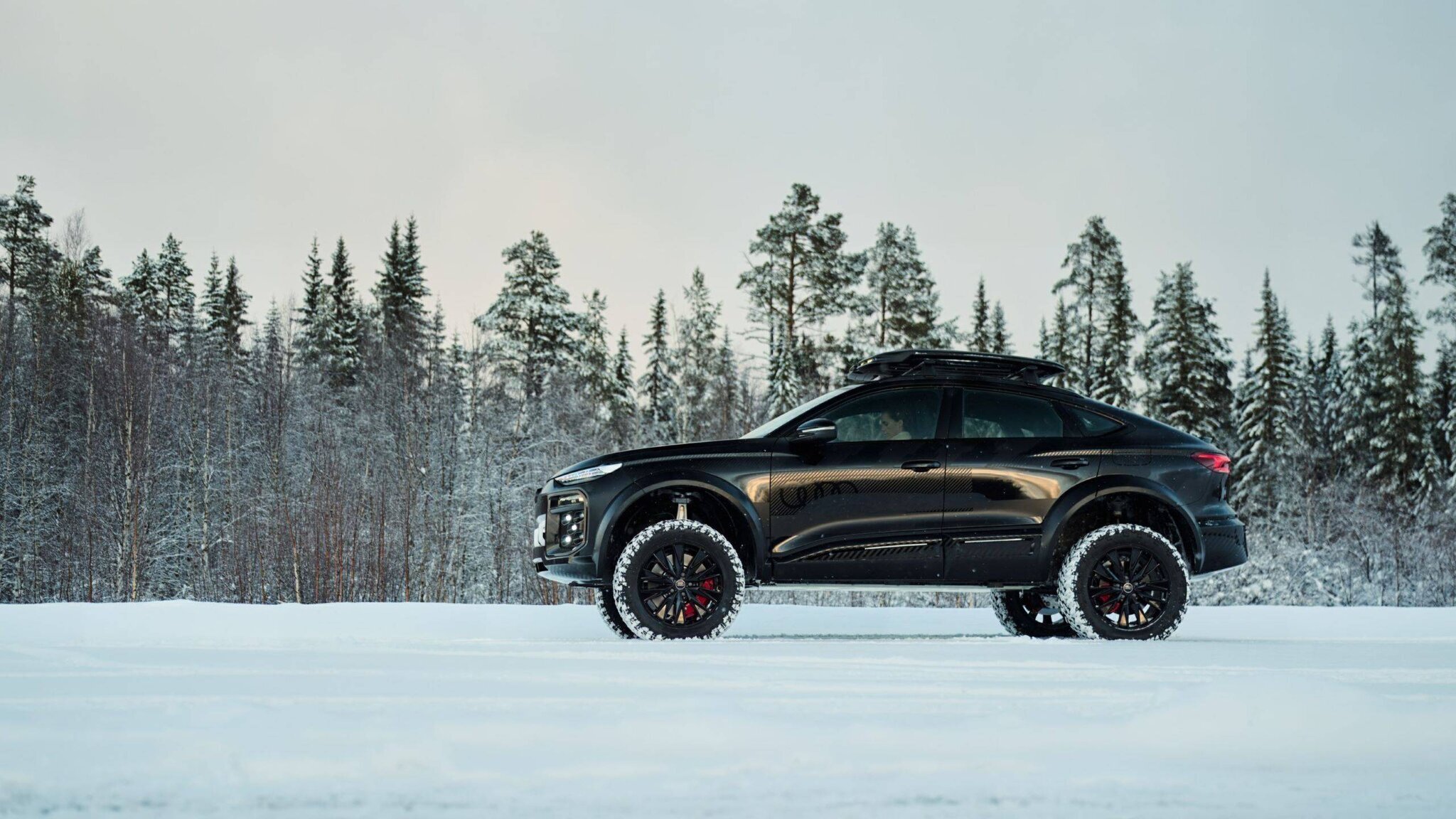 Audi Q6 E-Tron Off-Road en action