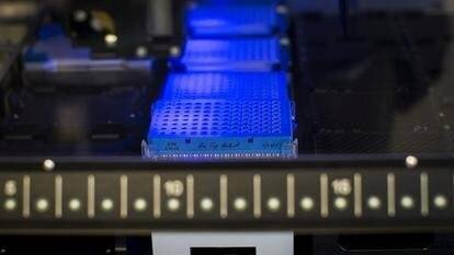 Gideon Castro était scolarisé dans le même lycée que sa victime, à Honolulu.