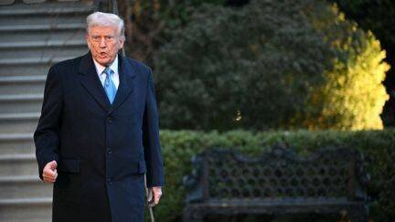 Donald Trump à la Maison Blanche à Washington, le 31 janvier 2025. (MANDEL NGAN / AFP)