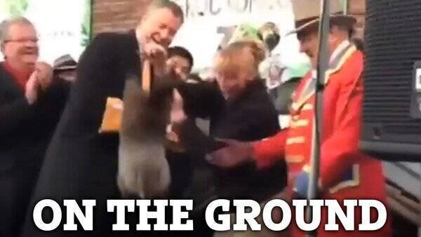 Staten Island Chuck et le maire de Blasio