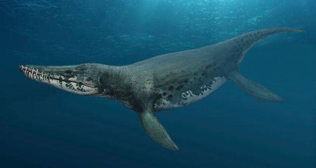 Découverte paléontologique en Colombie