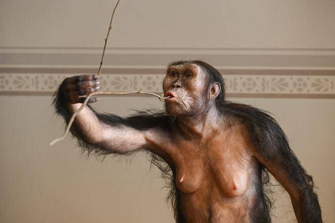 Reconstitution de Lucy