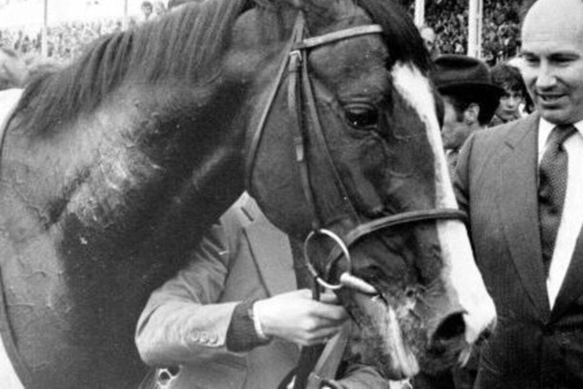 Shergar, le cheval enlevé par l'IRA