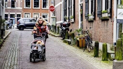 Prévisions météorologiques