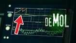 Le Mol révélé