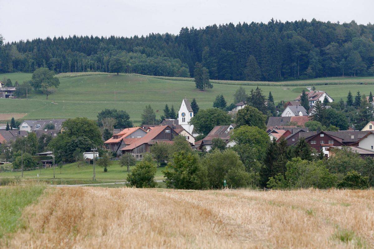 Vue de l'église de Wildberg, entourée de champs verts et boisés.