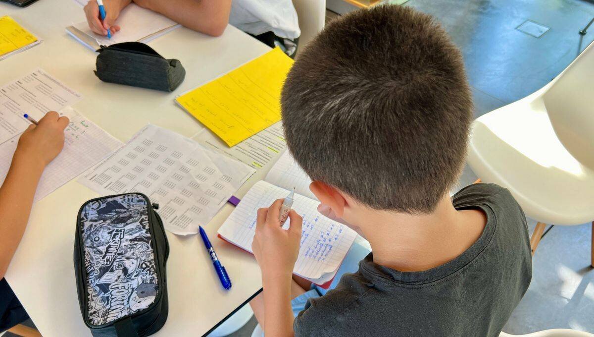 La députée du Rassemblement National souhaite intervenir pour parler 'du Parlement, du rôle du député et du fonctionnement des institutions'