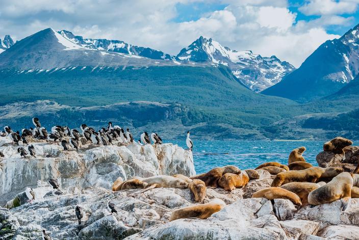 Croisière en Patagonie