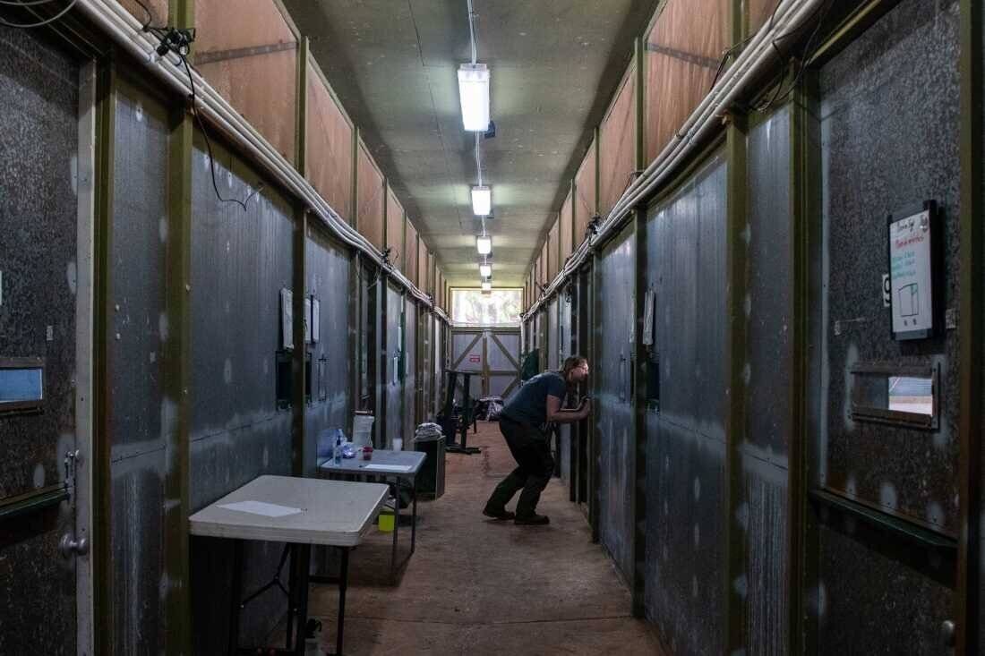 Jennifer Pribble examine une enclosure