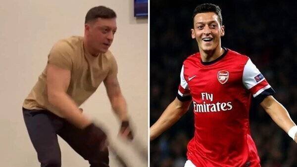 Mesut Ozil en politique