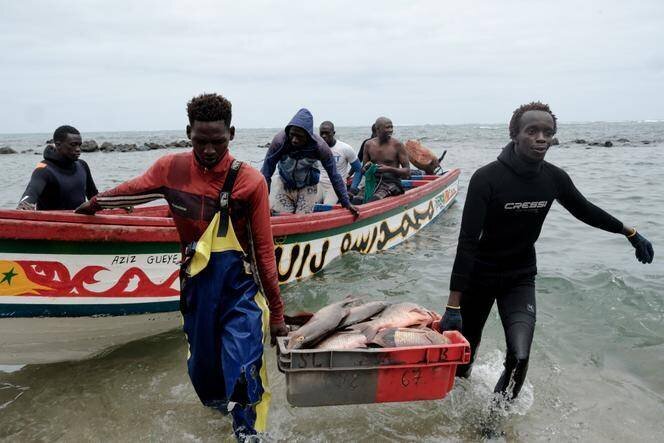 Des pêcheurs débarquent leurs poissons sur une plage de Dakar, le 23 mai 2022.