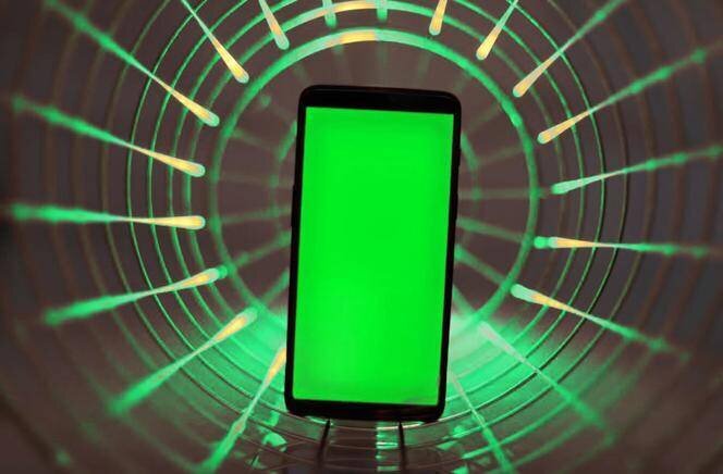 Capture d'écran d'une visioconférence