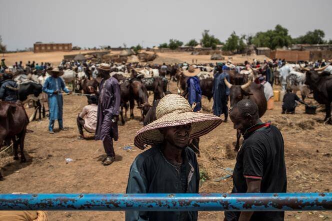 Des éleveurs peuls se rassemblent au marché aux bestiaux de N’gonga, près de Dosso, le 22 juin 2019.