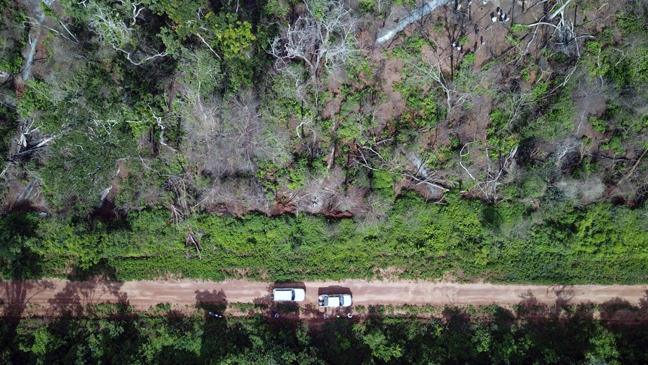 Une forêt brûlée près de Santa Ana de Velasco, en Bolivie, le 11 février 2025.