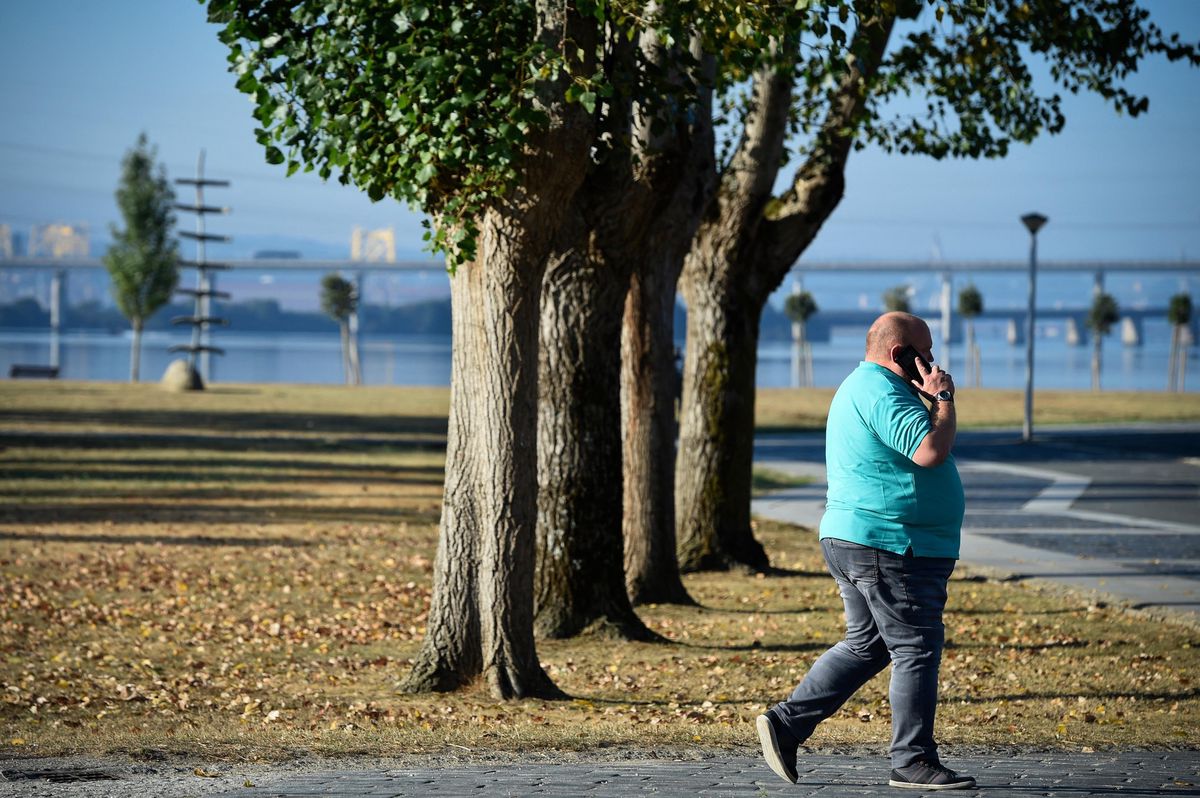 Un homme marche dans un parc près de Naron, participant à un programme de perte de poids pour que les habitants perdent 100,000 kilos.