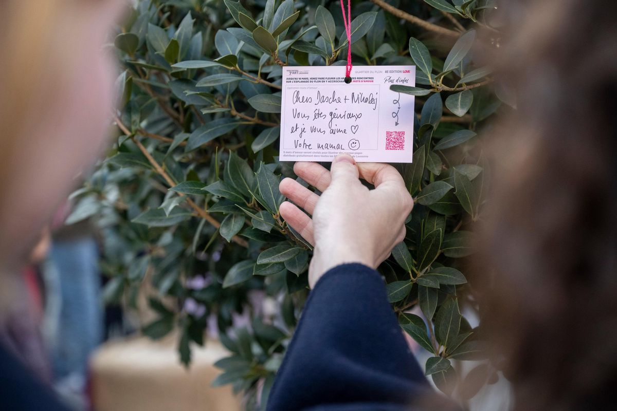 Carte accrochée à un arbre lors d’un flashmob