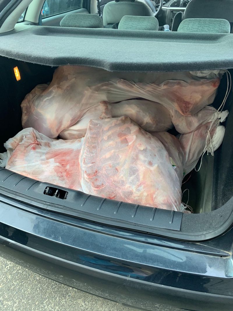 Coffre de voiture rempli de sacs de viande emballée dans du plastique transparent.