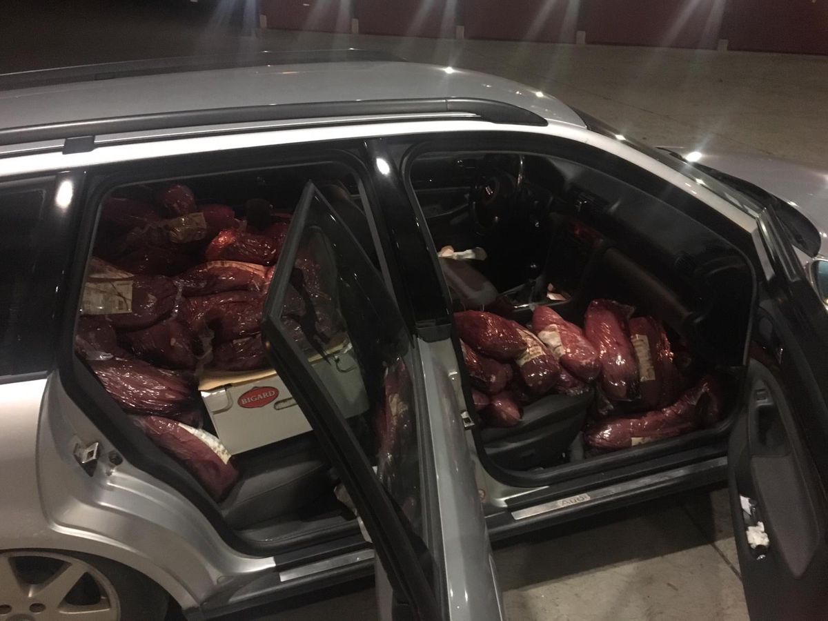 Voiture remplie de gros morceaux de viande emballés dans le siège arrière et le siège passager avant, de nuit, avec les portes ouvertes.