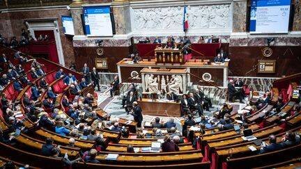 L'hémicycle de l'Assemblée nationale, à Paris, le 12 mars 2025. (XOSE BOUZAS / HANS LUCAS / AFP)