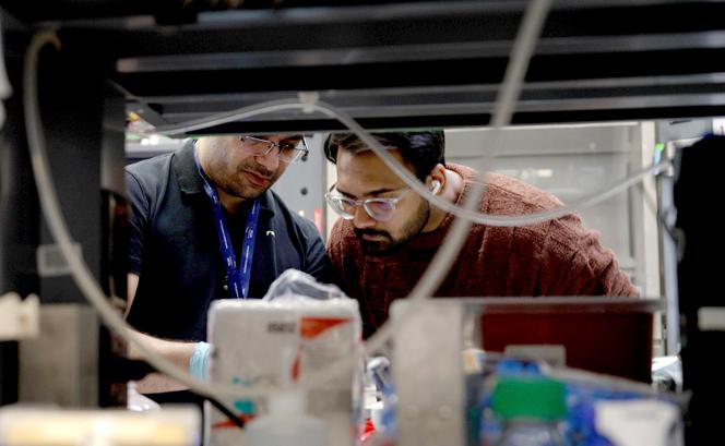 Dans un des laboratoires de l’université Johns Hopkins, à Baltimore (Maryland), le 26 février 2025.