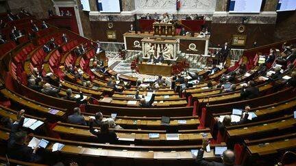 L'Assemblée nationale, le 12 mars 2025. (JULIEN DE ROSA / AFP)