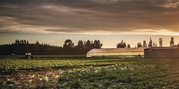 Photographie des activités agricoles en Provence-Alpes-Côte d'Azur
